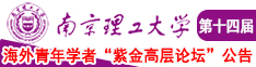 鉴黄师啊啊啊谢谢嫩逼南京理工大学第十四届海外青年学者紫金论坛诚邀海内外英才！